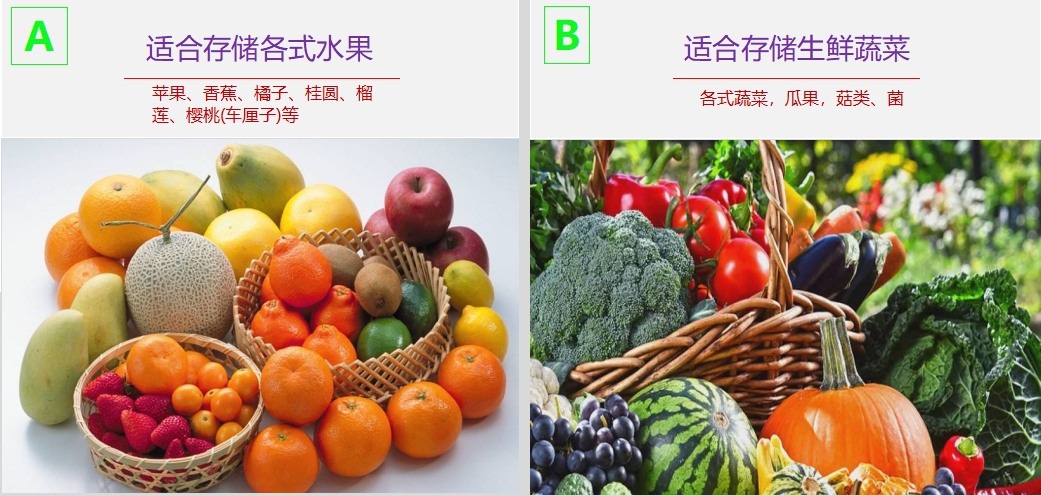 冷藏仓适合存放产品1.png